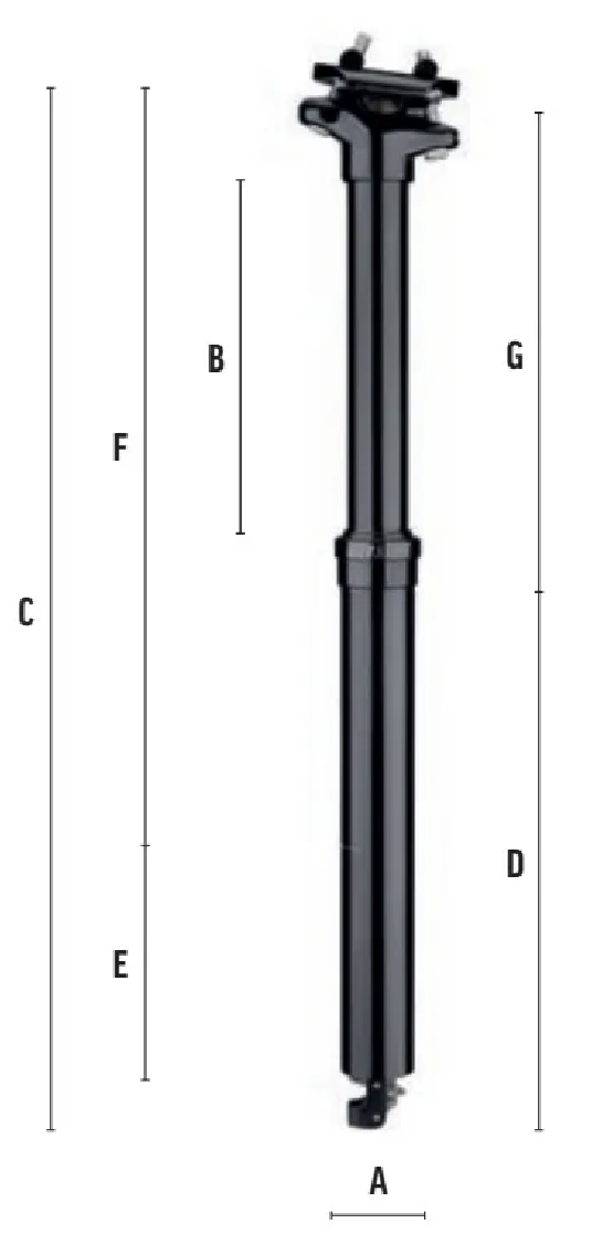 sedlovky 1309-1
